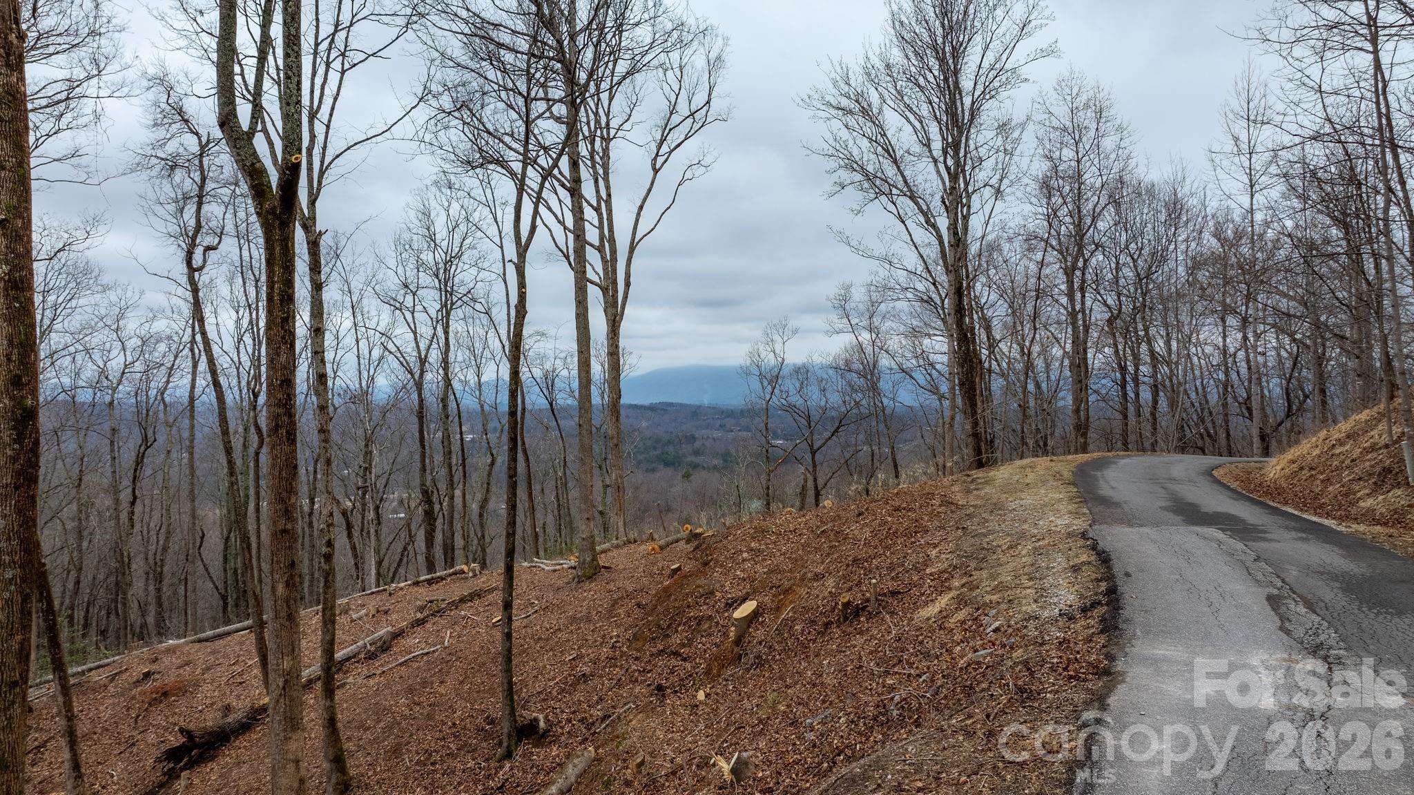 0 Mountain Crest Drive S Marion NC 28752