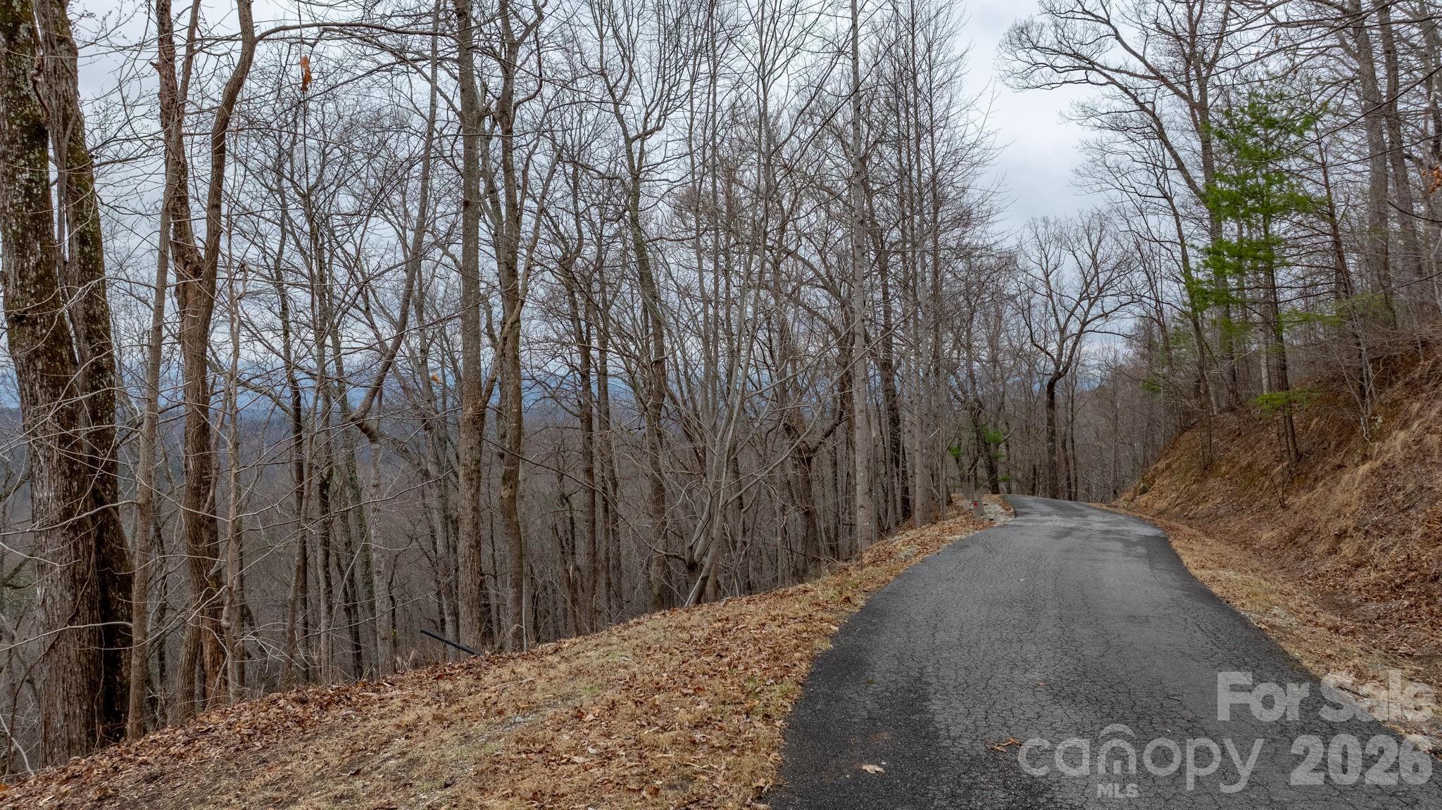 0 Mountain Crest Drive S Marion NC 28752
