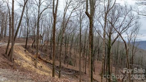 0 Mountain Crest Drive S Marion NC 28752