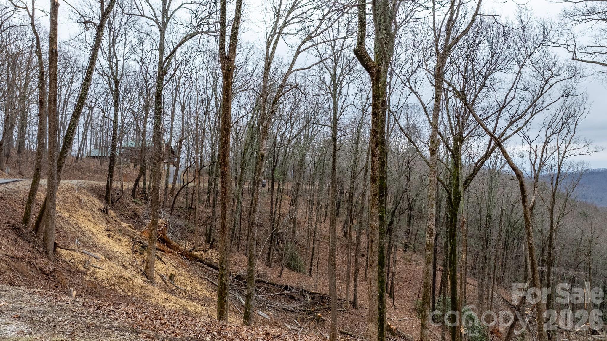 0 Mountain Crest Drive S Marion NC 28752
