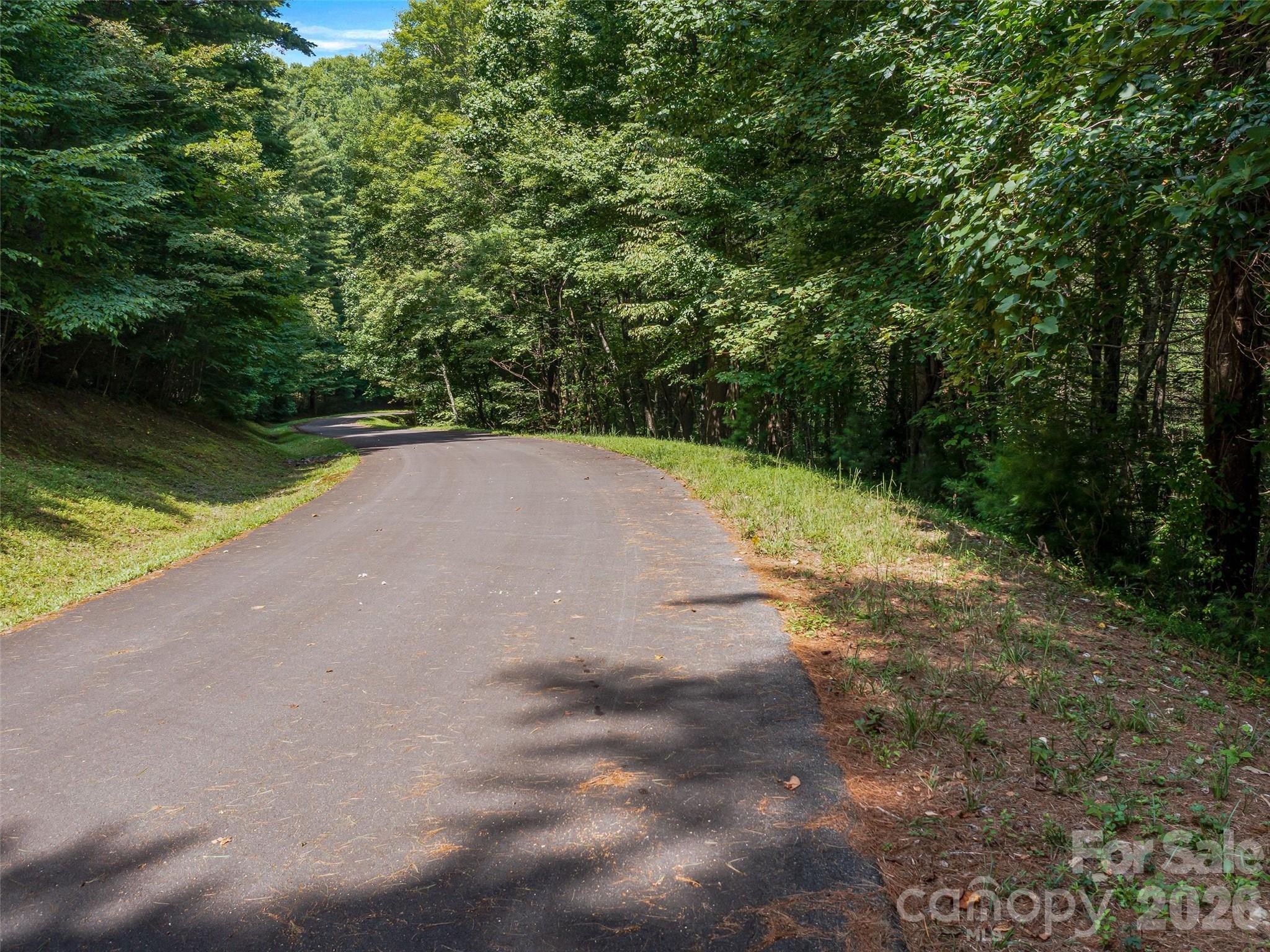 99999 Gordon Lane Burnsville NC 28714