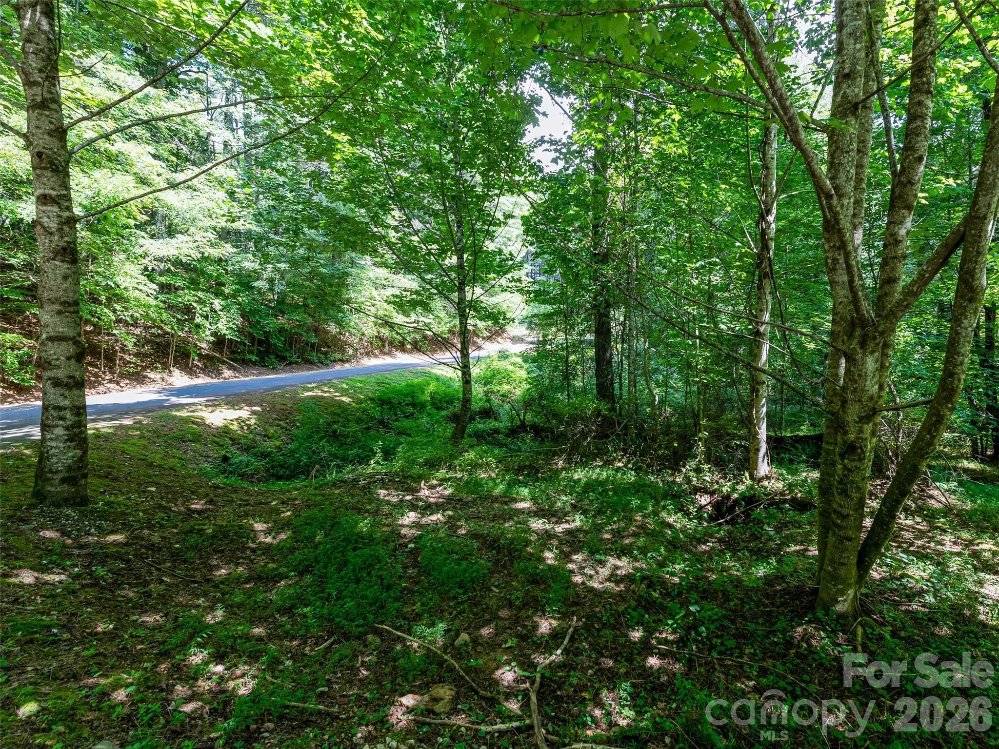 99999 Gordon Lane Burnsville NC 28714