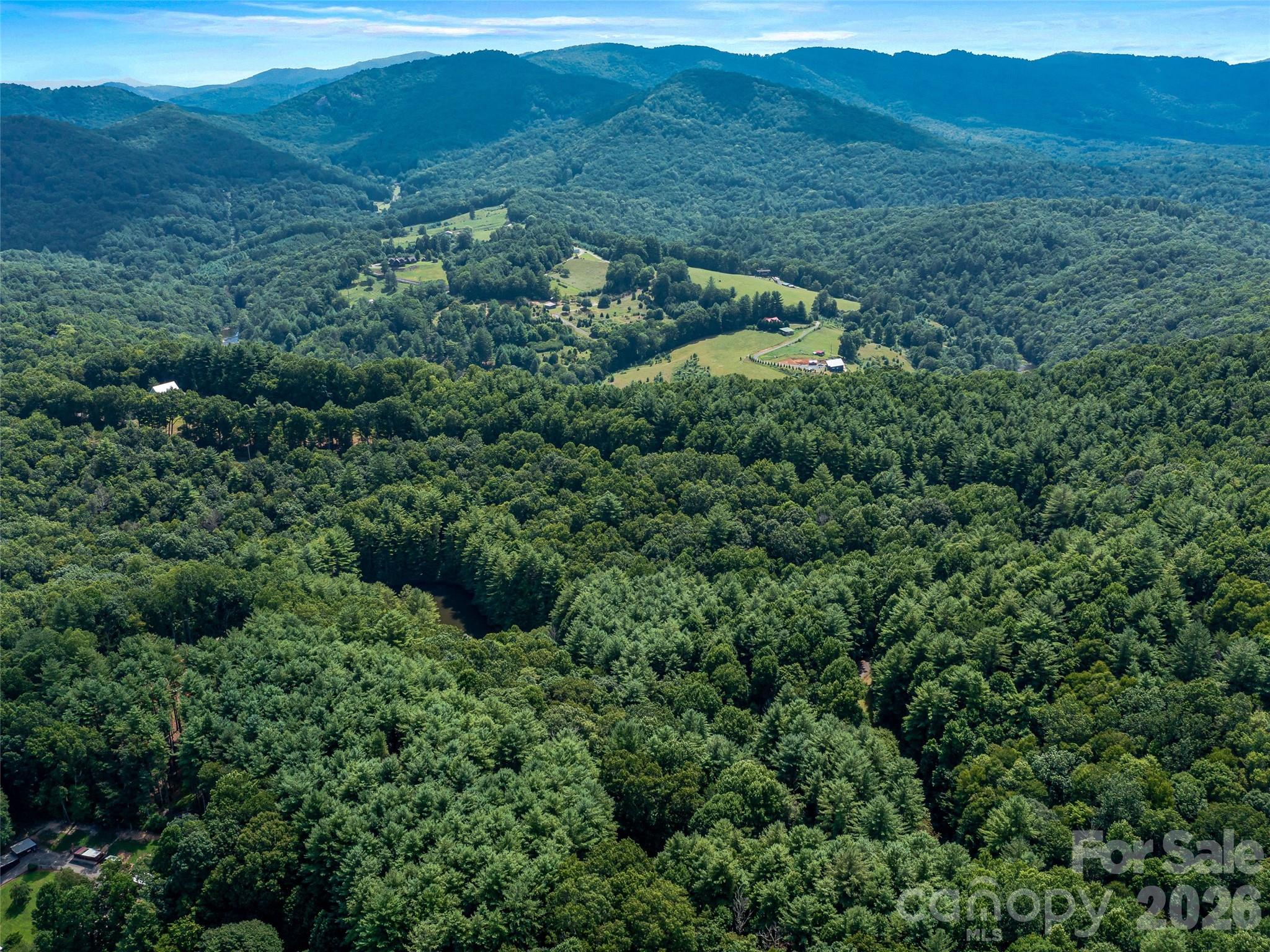 99999 Gordon Lane Burnsville NC 28714