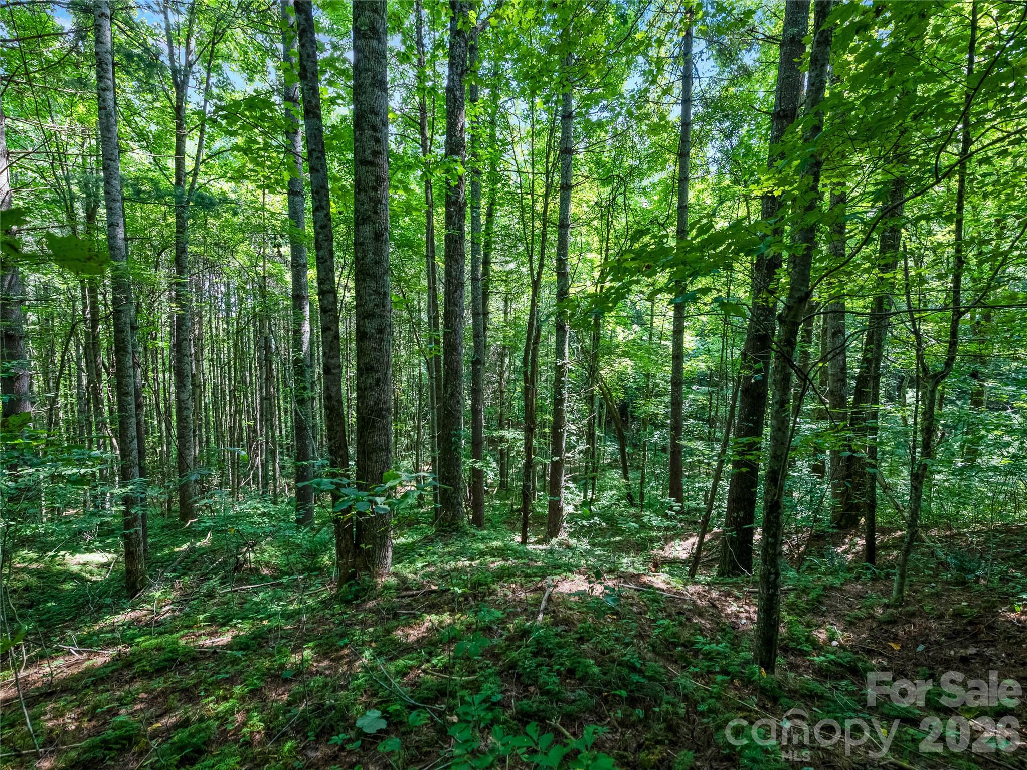 99999 Gordon Lane Burnsville NC 28714