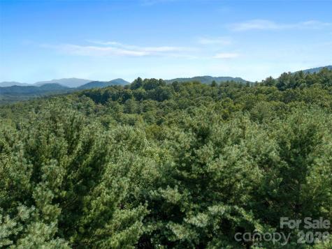 99999 Gordon Lane Burnsville NC 28714
