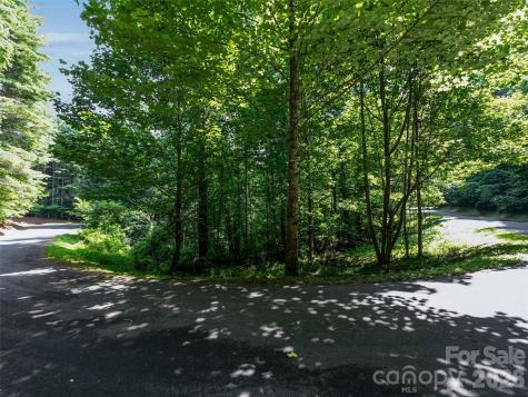 99999 Gordon Lane Burnsville NC 28714