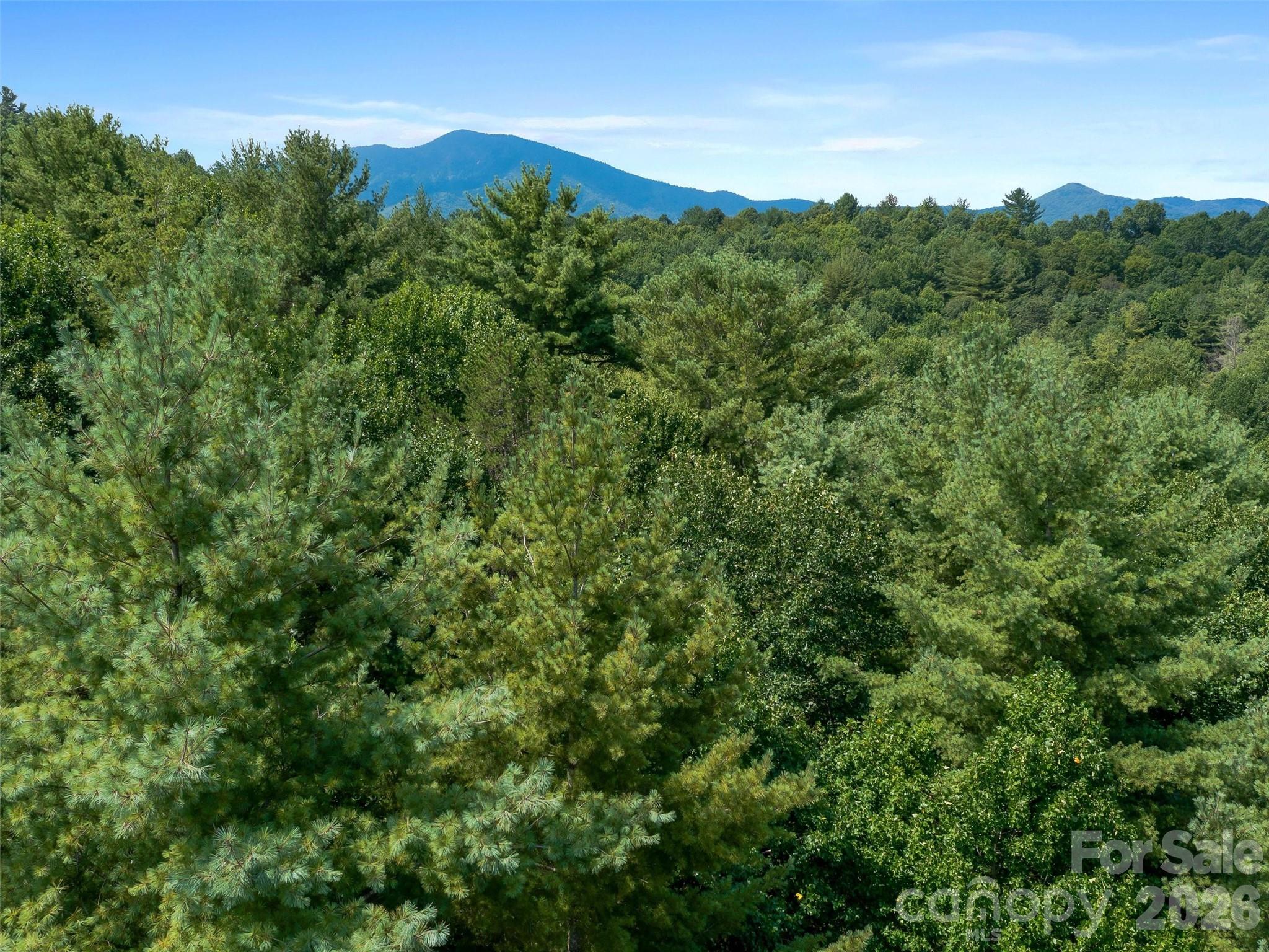99999 Gordon Lane Burnsville NC 28714