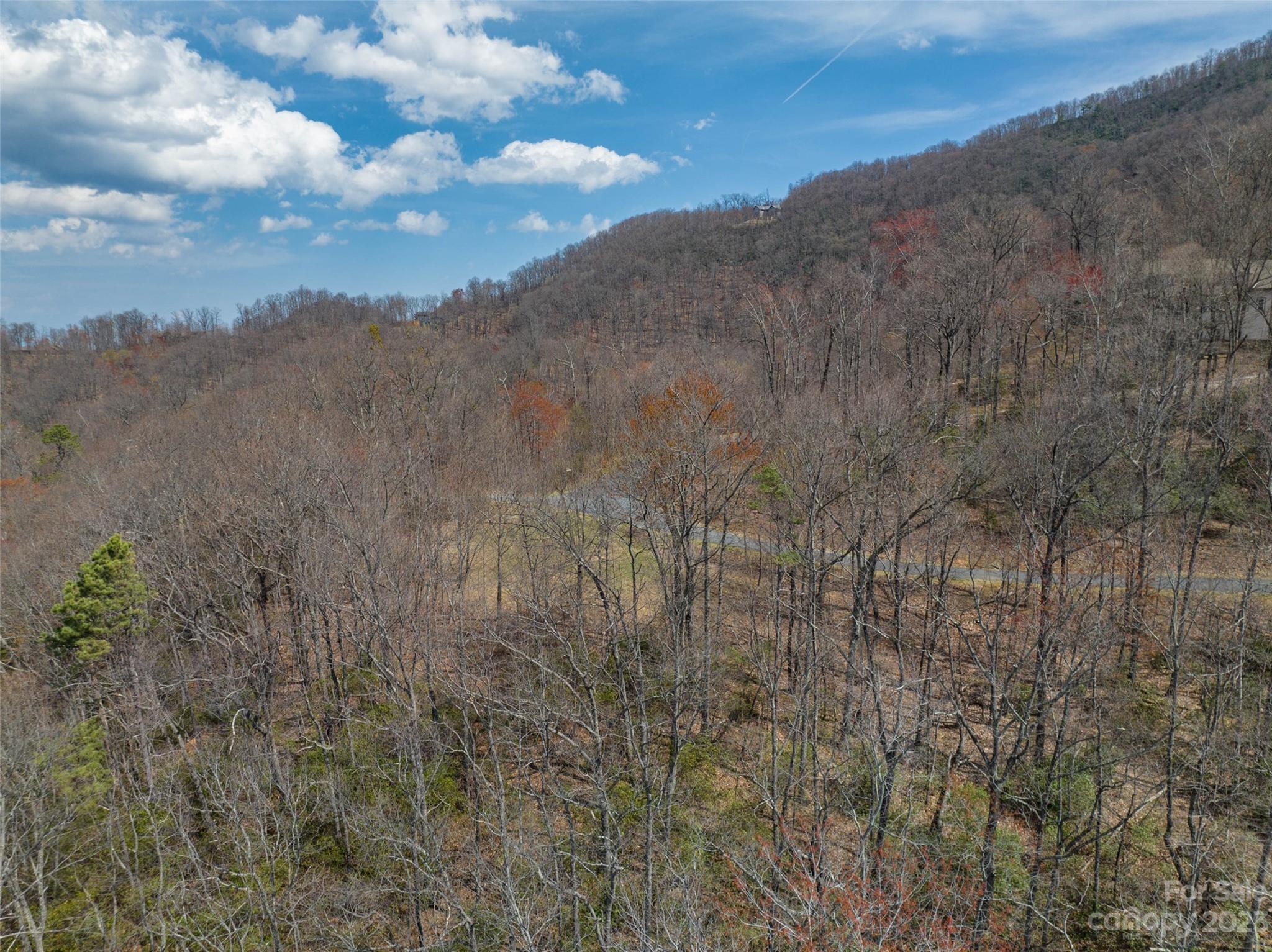 187 Arcadia Falls Way Black Mountain NC 28711