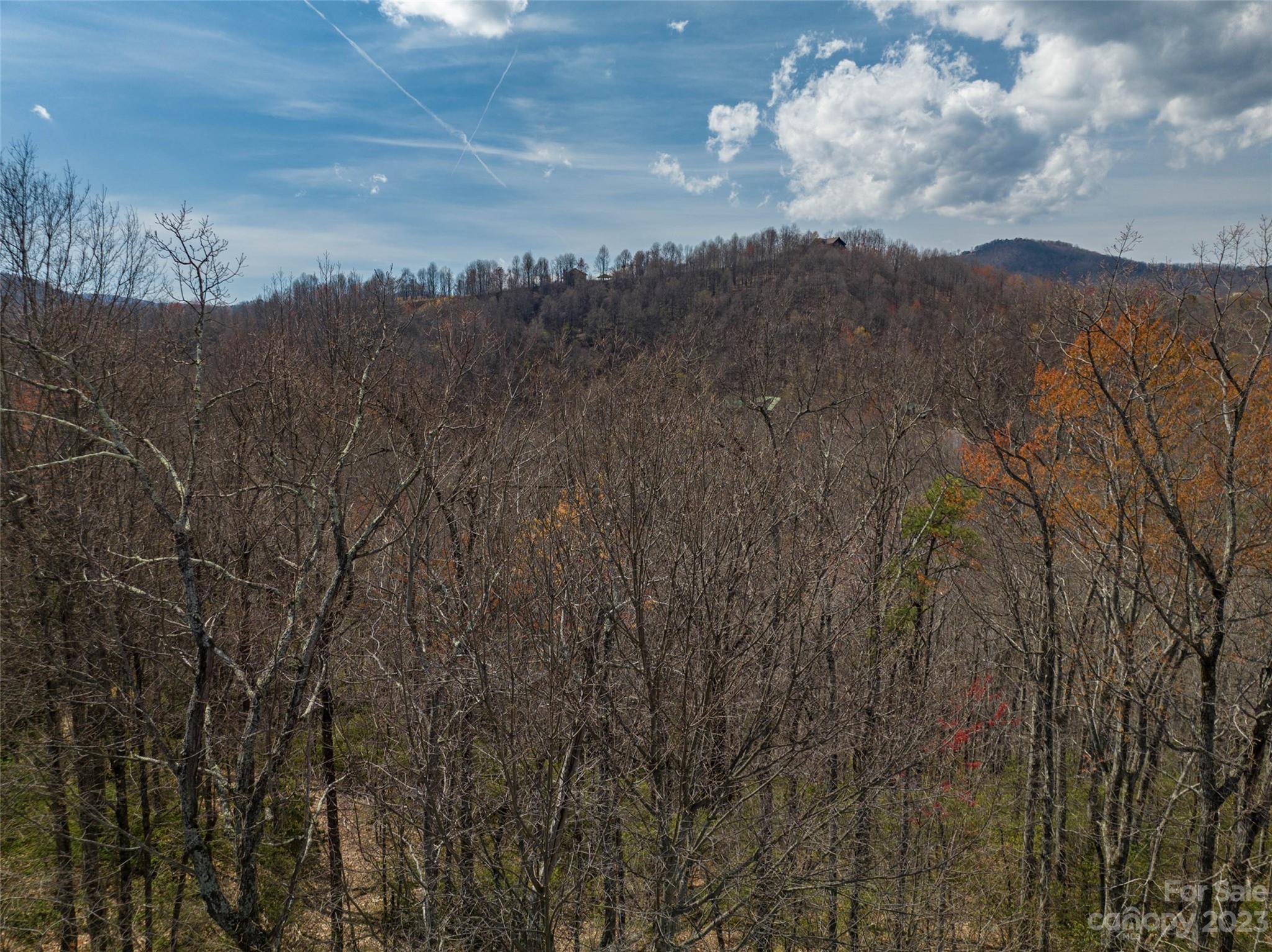 187 Arcadia Falls Way Black Mountain NC 28711