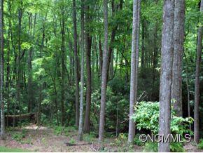 34 Red Tail Court Fairview NC 28730