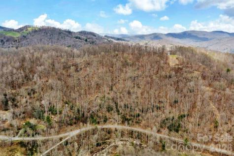 Tbd Buckeye Road Elk Park NC 28622