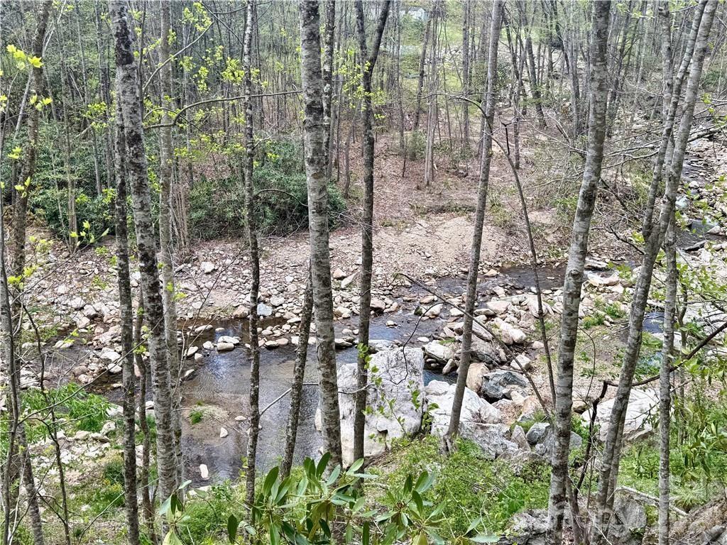 Tbd Buckeye Road Elk Park NC 28622