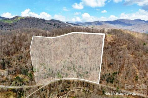 Tbd Buckeye Road Elk Park NC 28622
