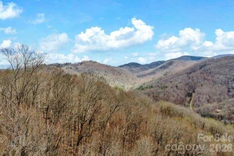 Tbd Buckeye Road Elk Park NC 28622