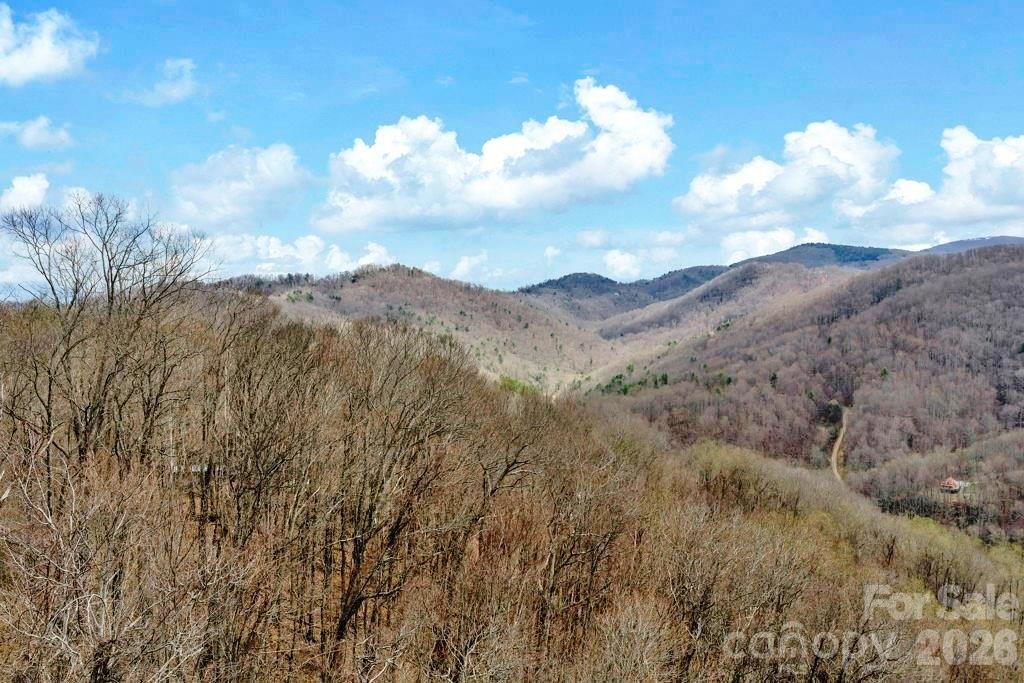 Tbd Buckeye Road Elk Park NC 28622