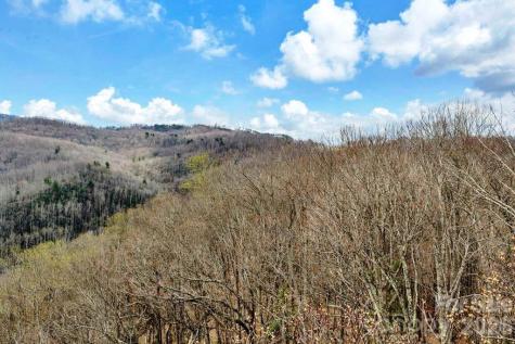 Tbd Buckeye Road Elk Park NC 28622