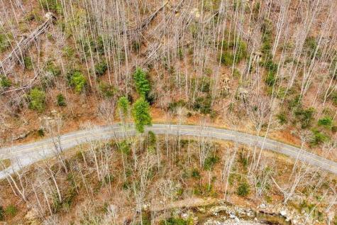 Tbd Buckeye Road Elk Park NC 28622