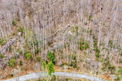 Tbd Buckeye Road Elk Park NC 28622