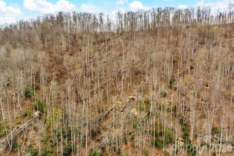 Tbd Buckeye Road Elk Park NC 28622