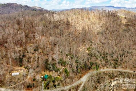 Tbd Buckeye Road Elk Park NC 28622