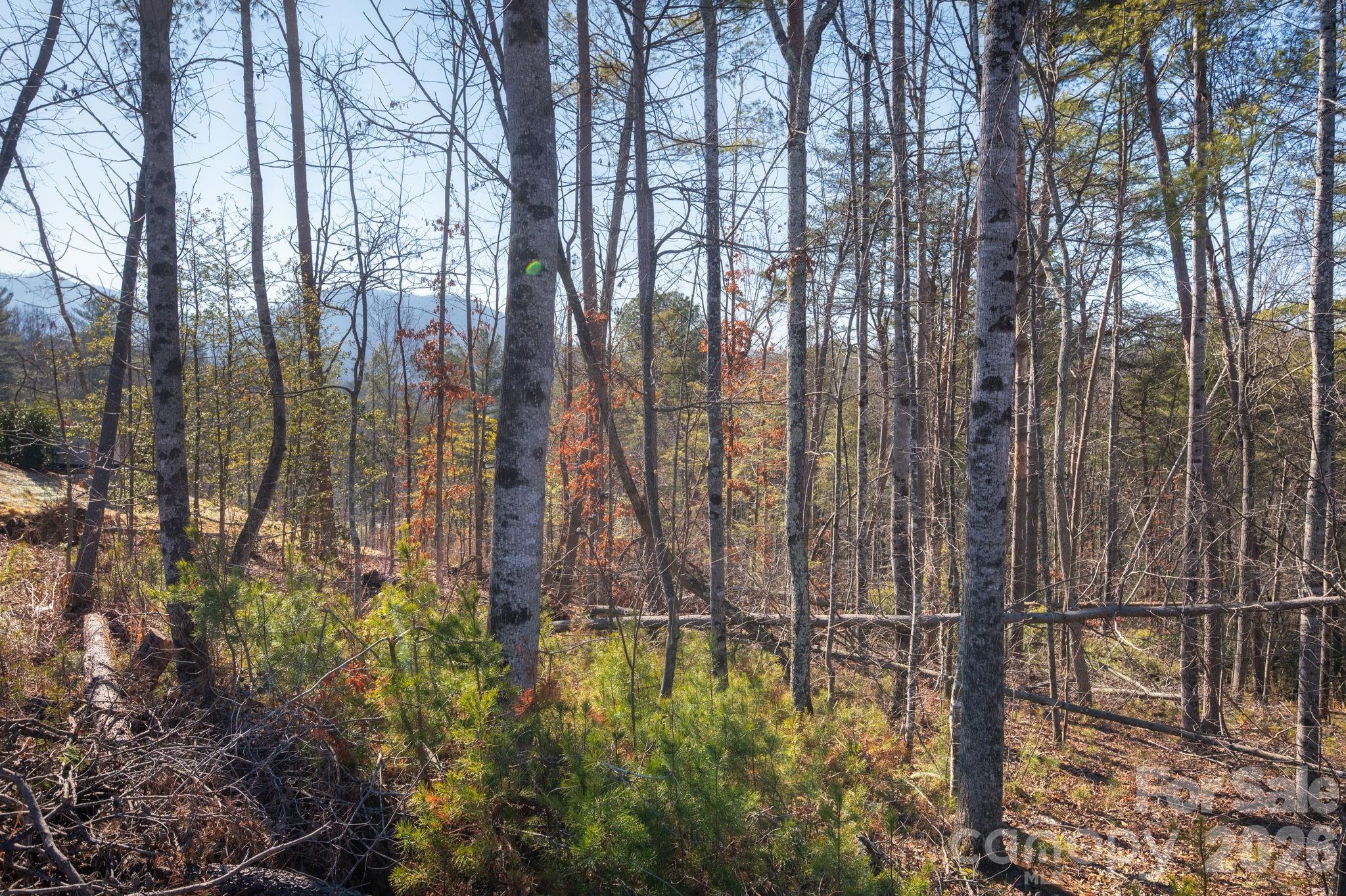 161 Riverbend Forest Drive Asheville NC 28805
