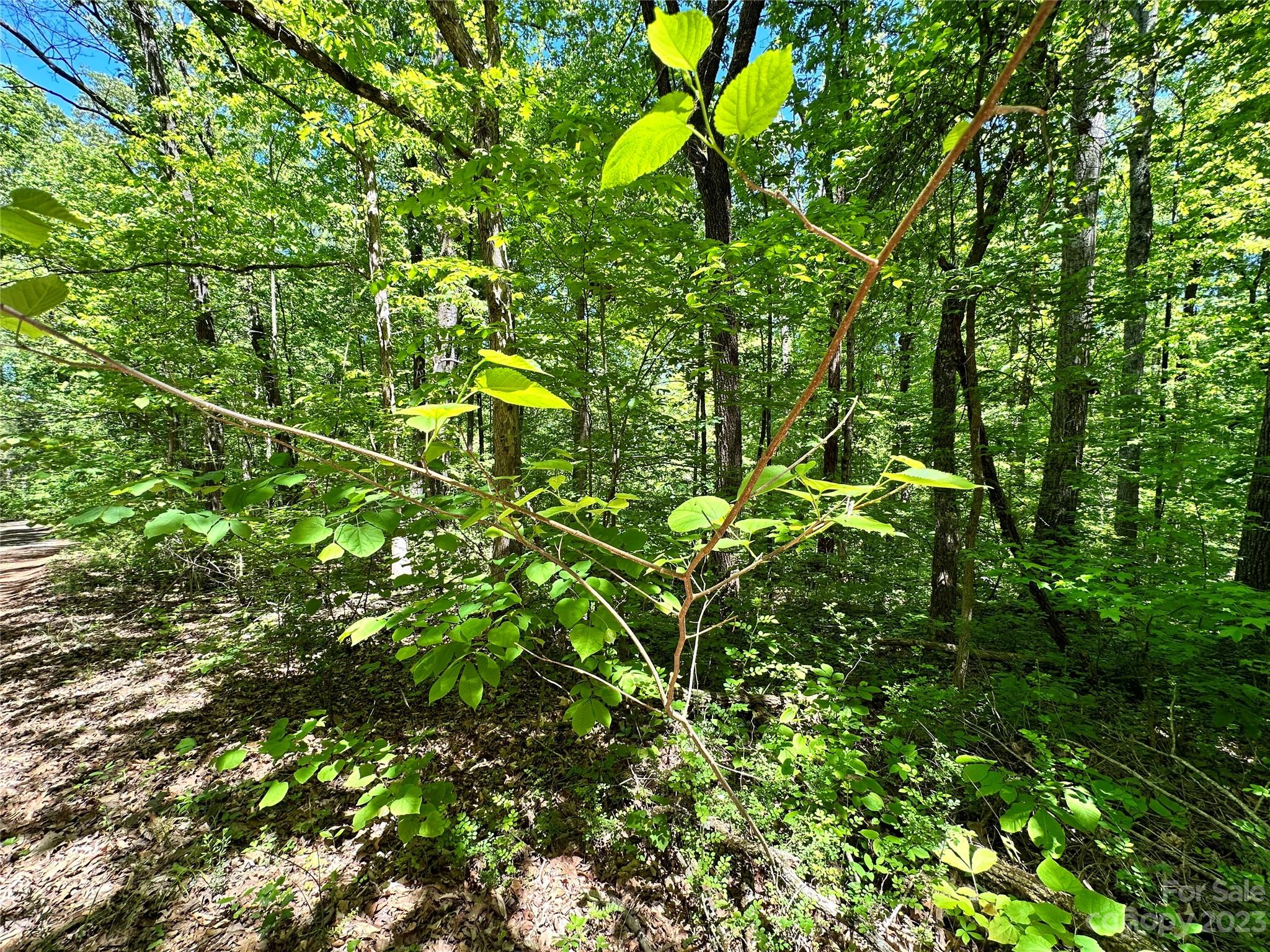 #168 Rolling Road Lincolnton NC 28092