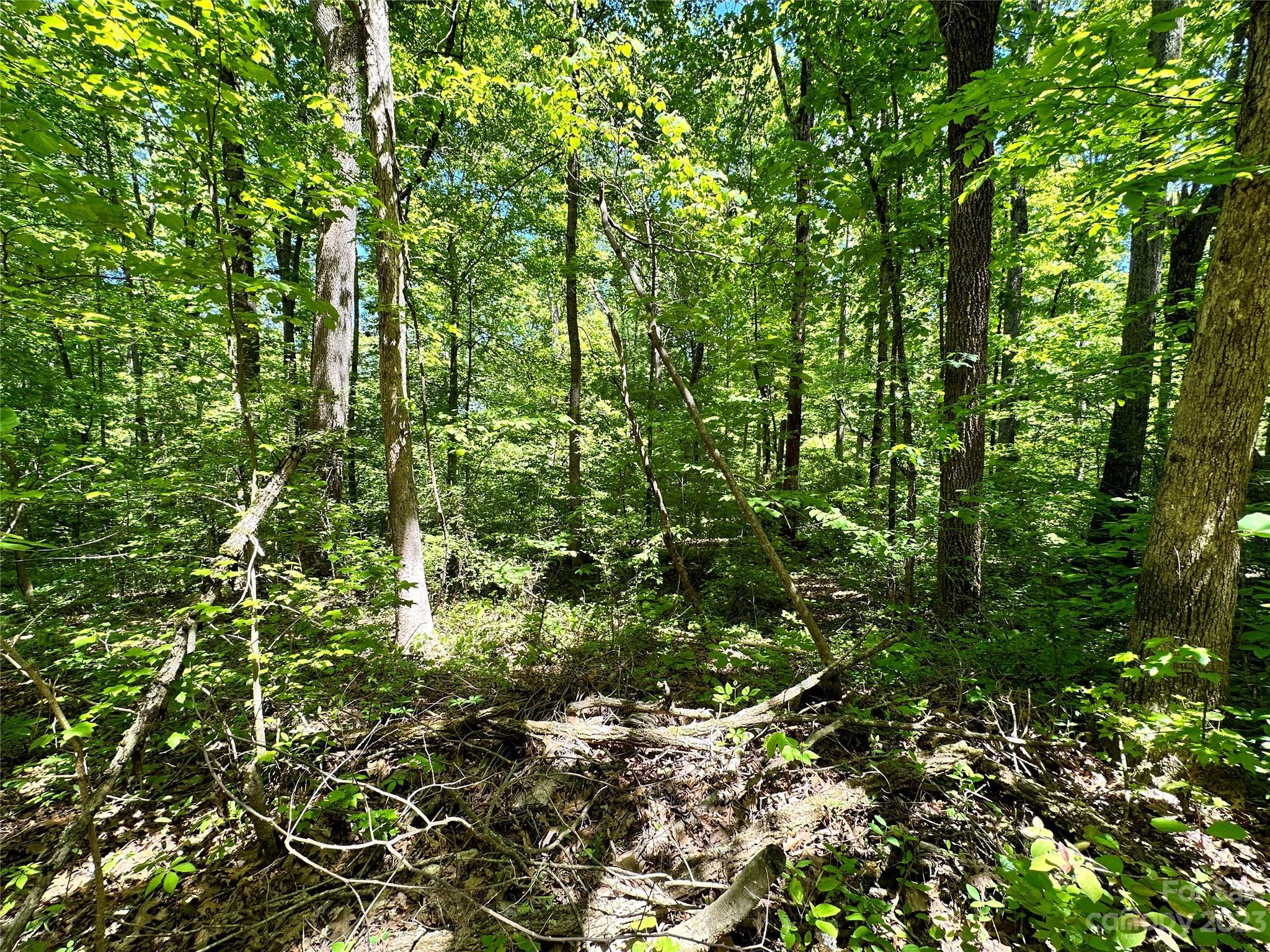 #168 Rolling Road Lincolnton NC 28092