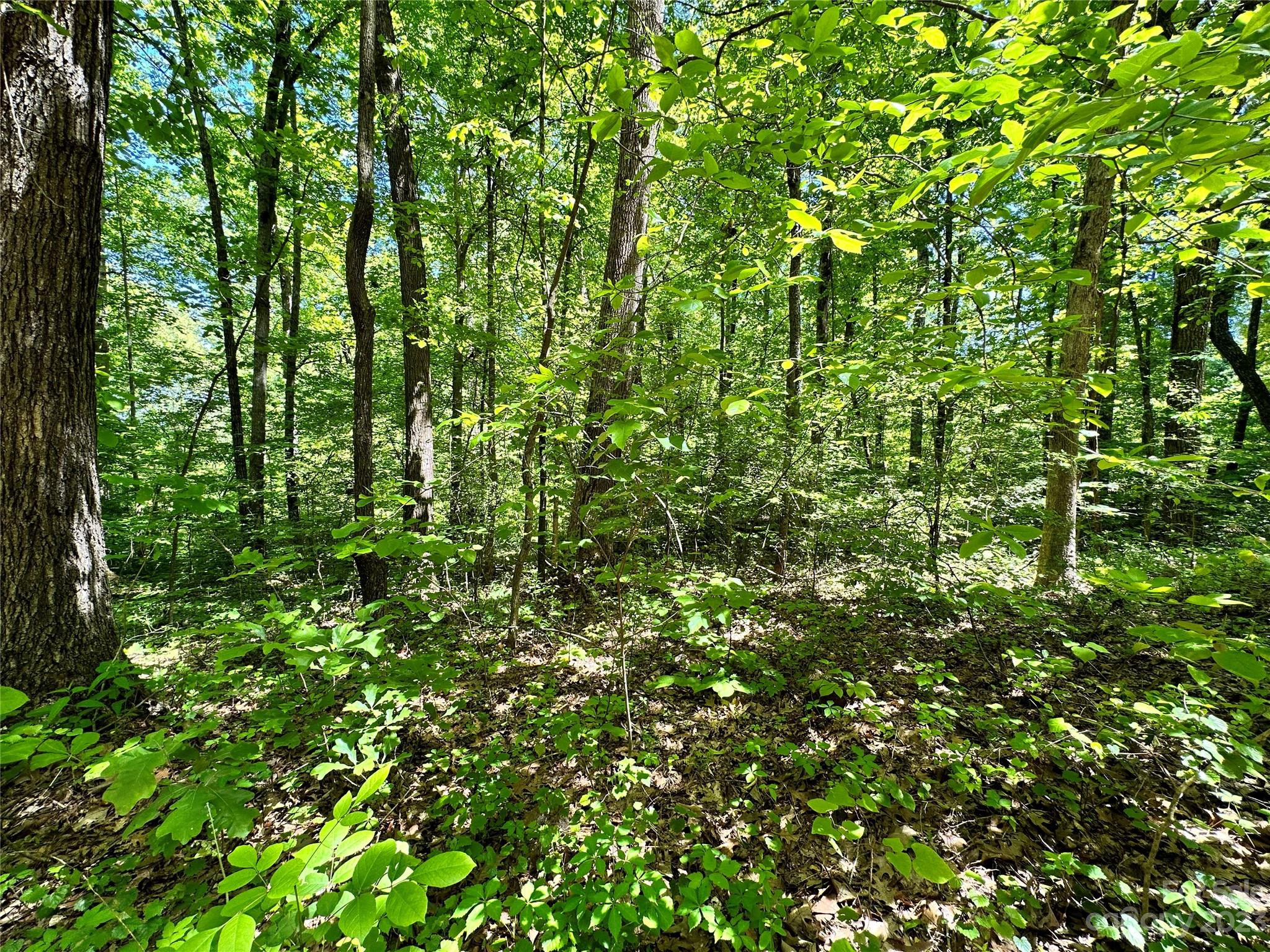 #168 Rolling Road Lincolnton NC 28092