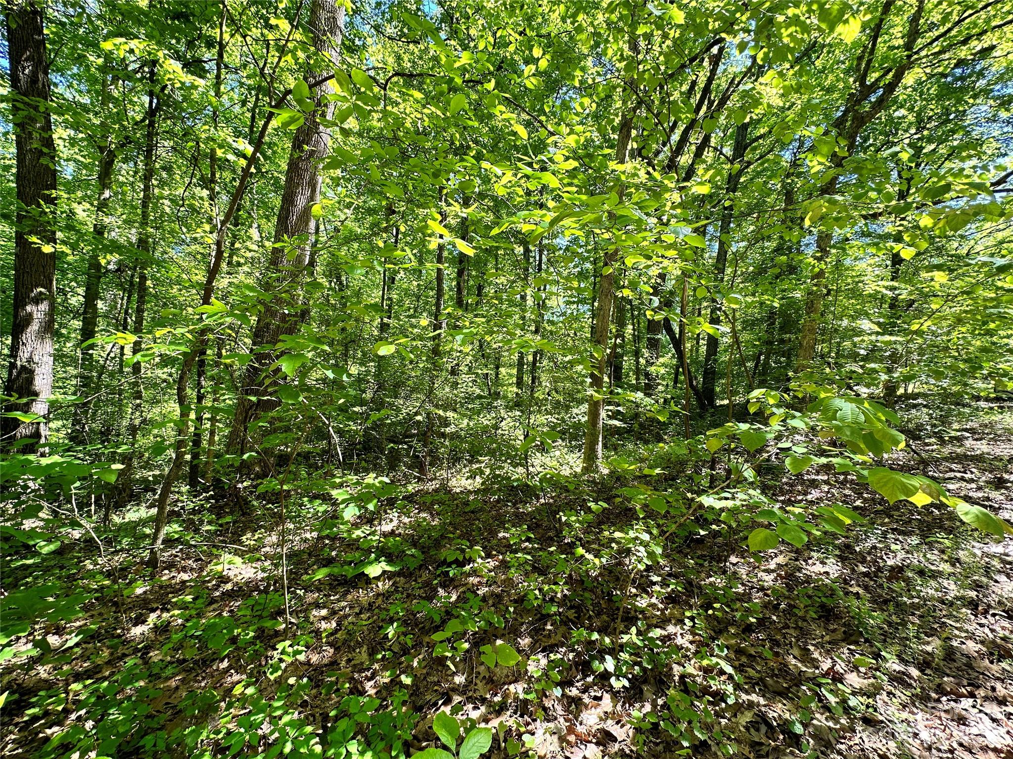 #168 Rolling Road Lincolnton NC 28092