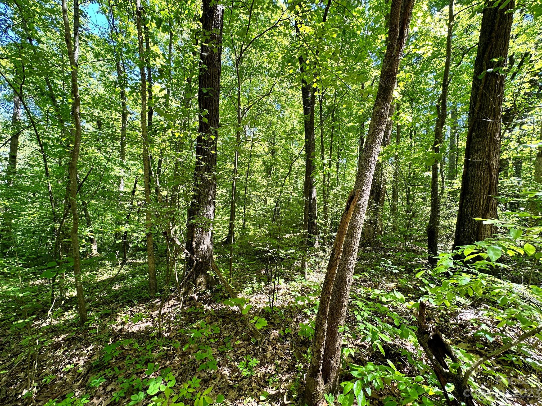 #168 Rolling Road Lincolnton NC 28092