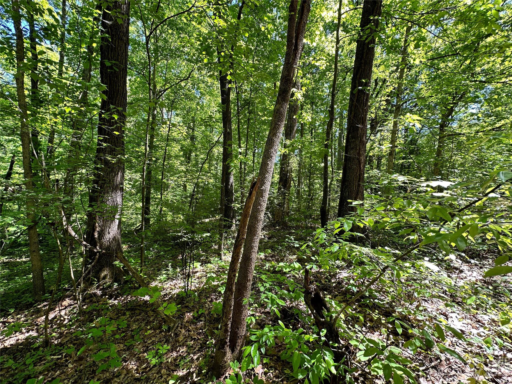 #168 Rolling Road Lincolnton NC 28092