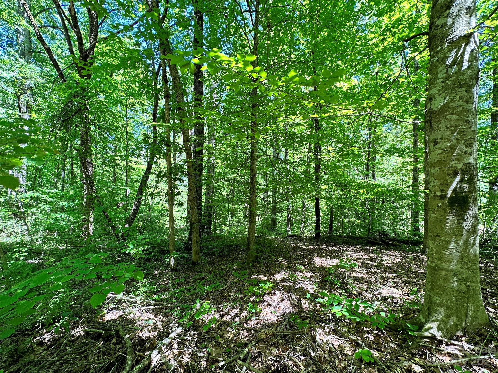 #168 Rolling Road Lincolnton NC 28092