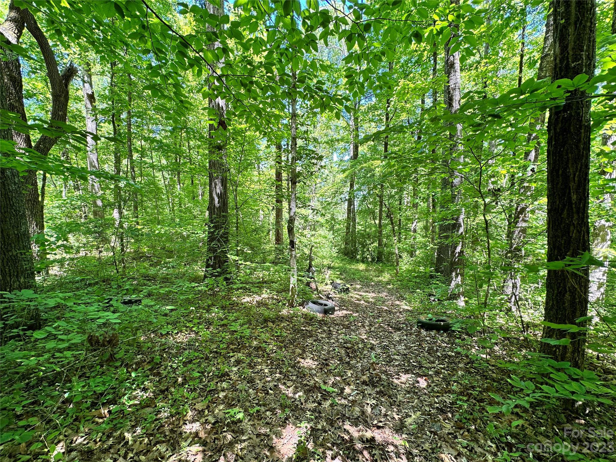 #168 Rolling Road Lincolnton NC 28092