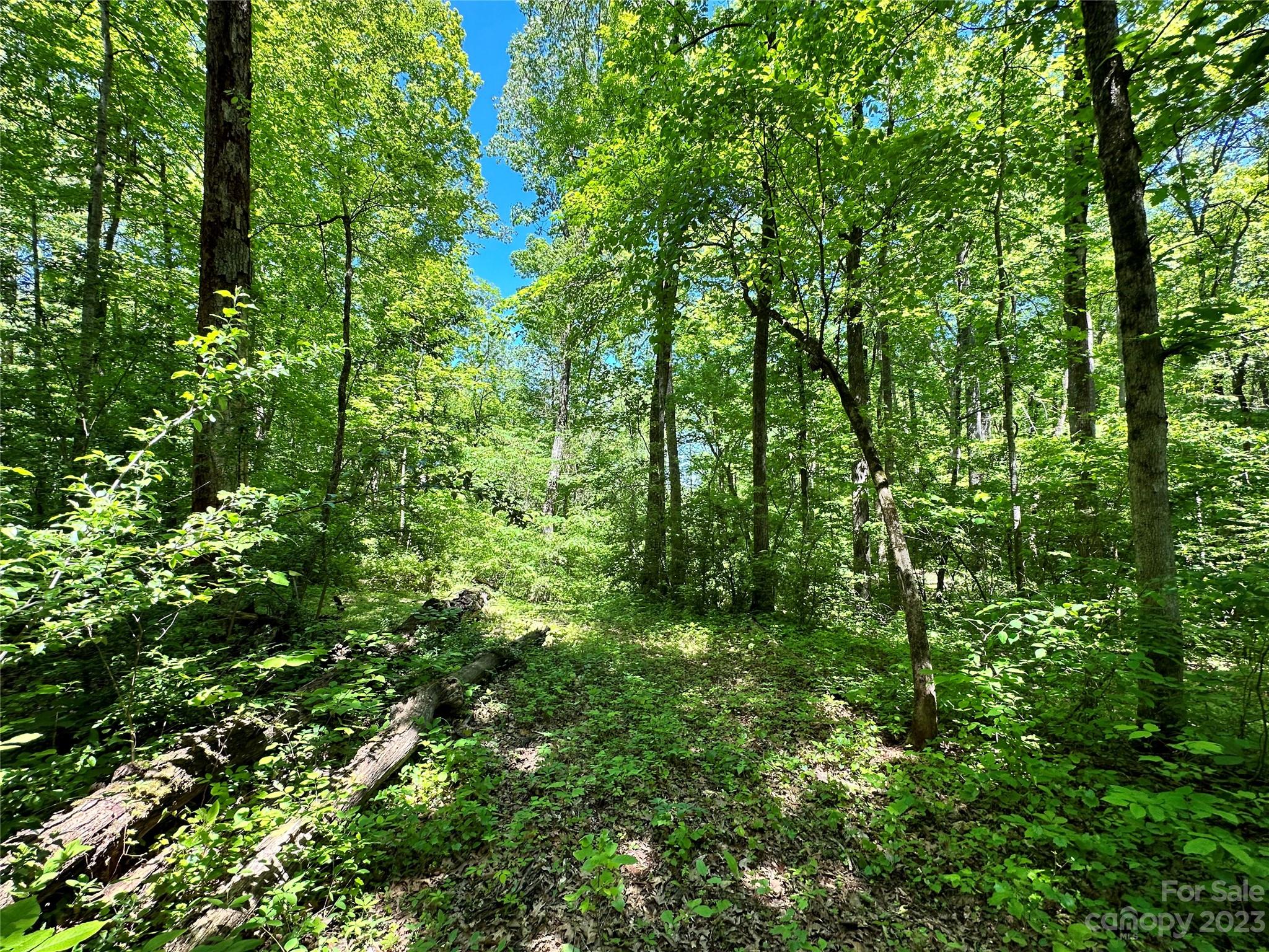 #168 Rolling Road Lincolnton NC 28092