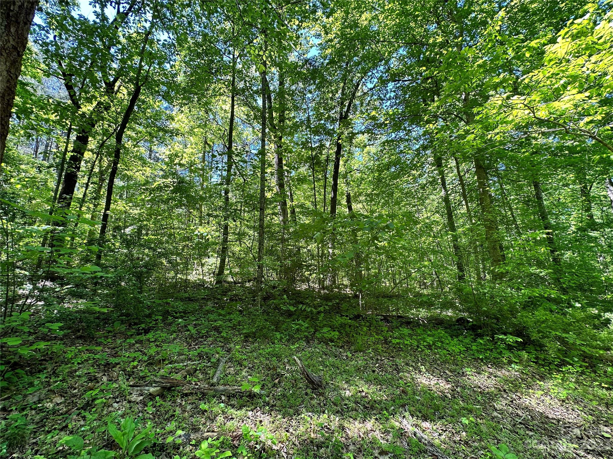 #168 Rolling Road Lincolnton NC 28092