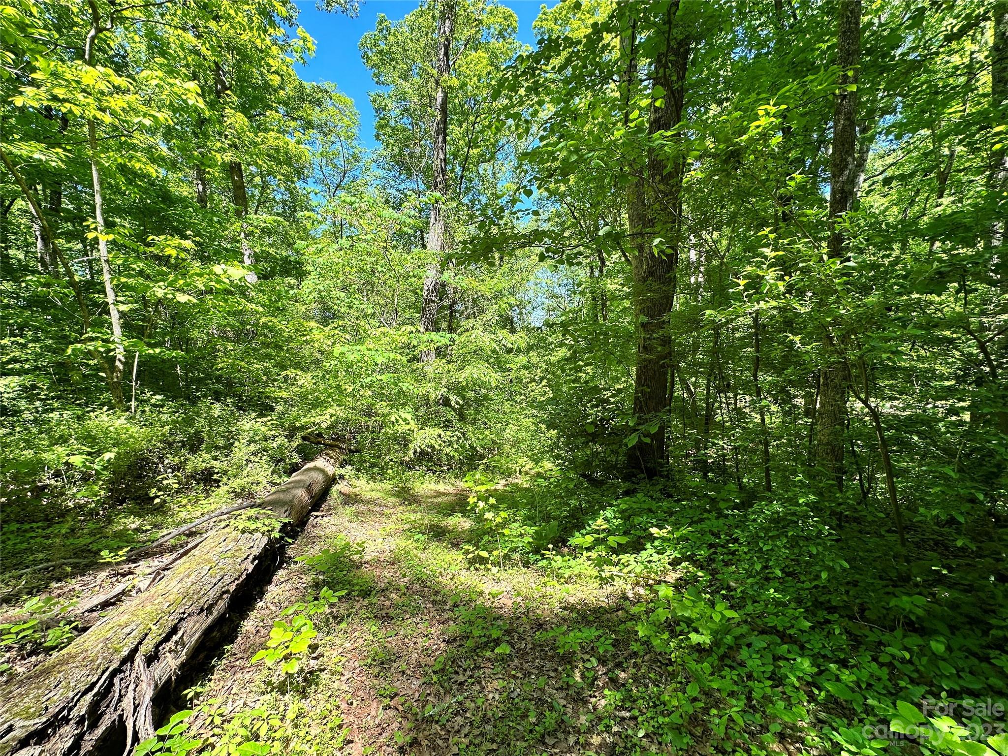 #168 Rolling Road Lincolnton NC 28092