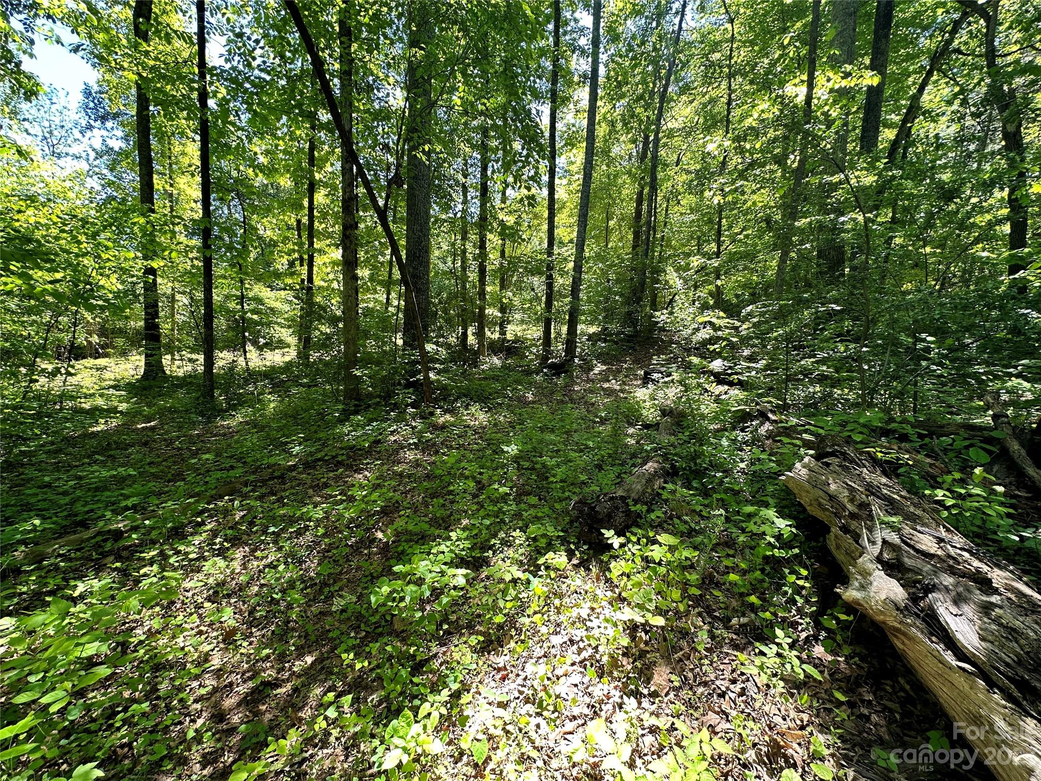 #168 Rolling Road Lincolnton NC 28092