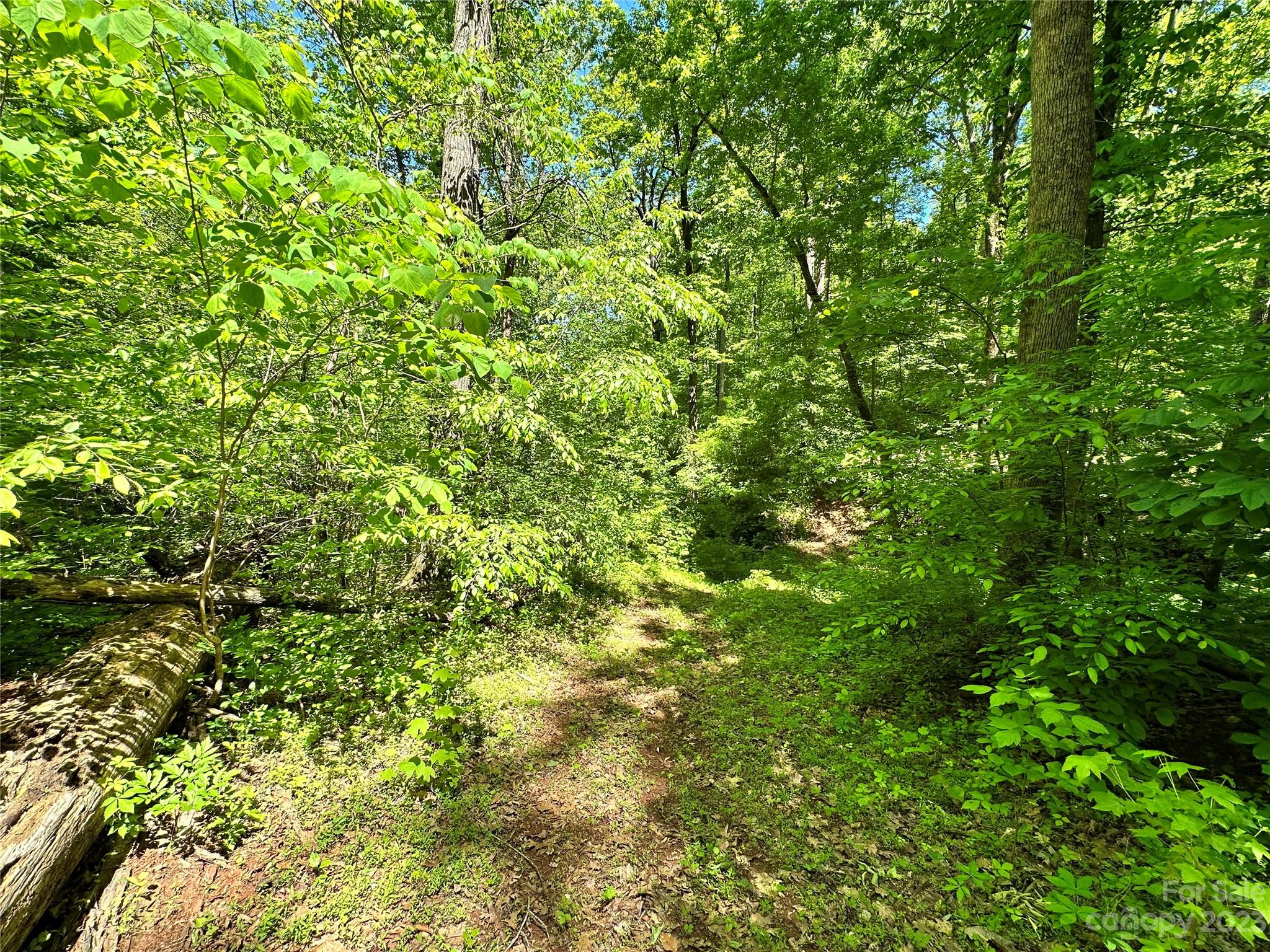 #168 Rolling Road Lincolnton NC 28092