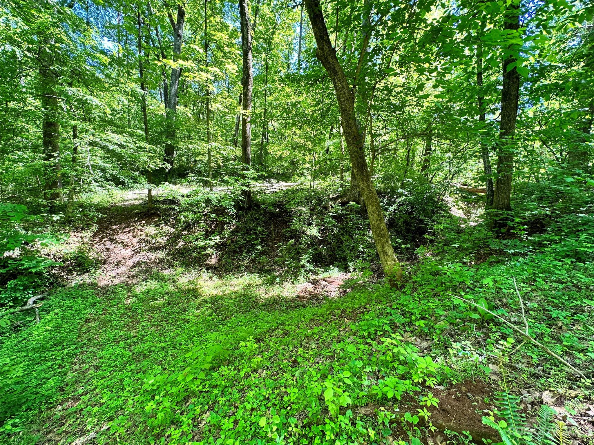 #168 Rolling Road Lincolnton NC 28092