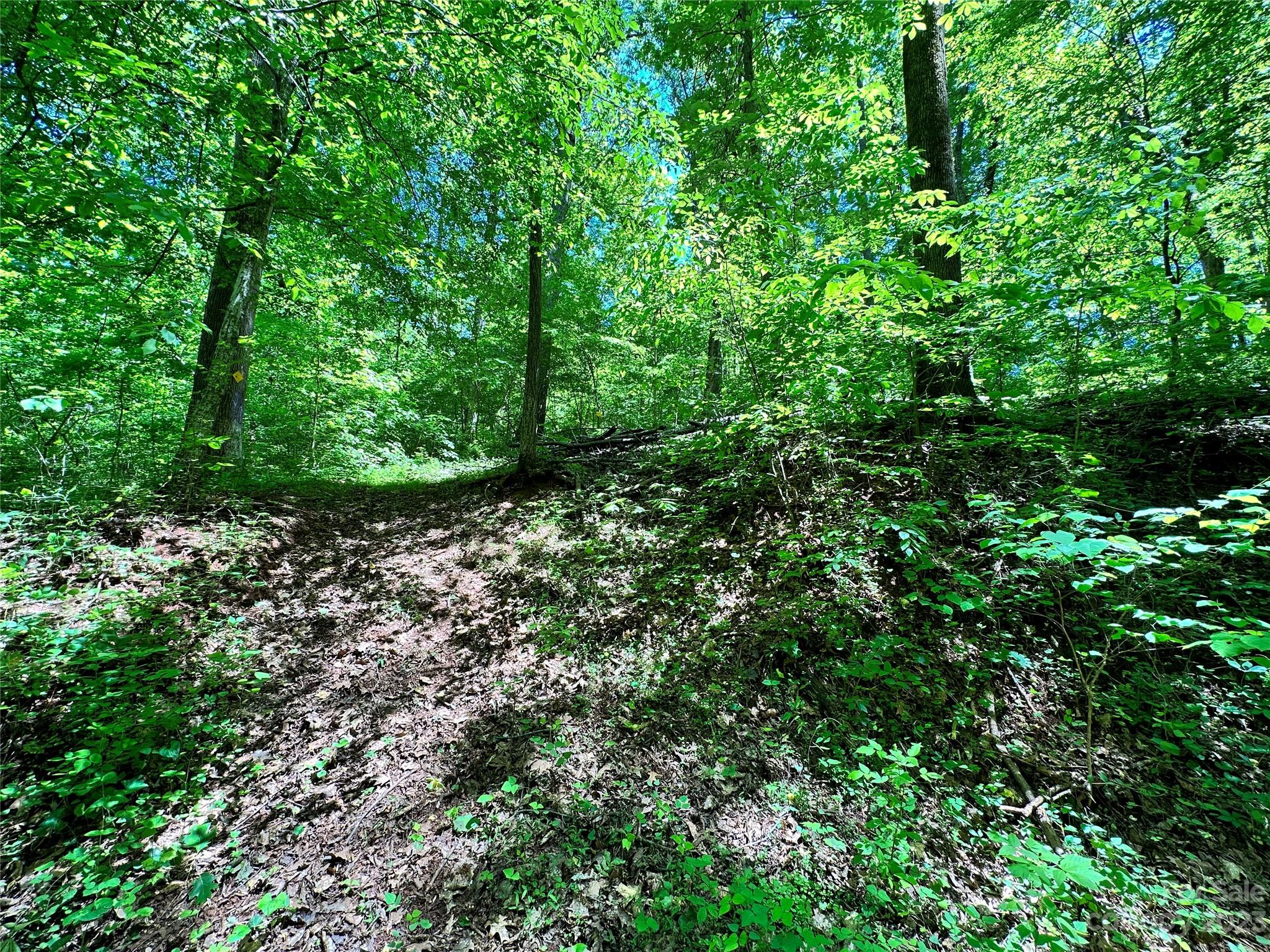 #168 Rolling Road Lincolnton NC 28092