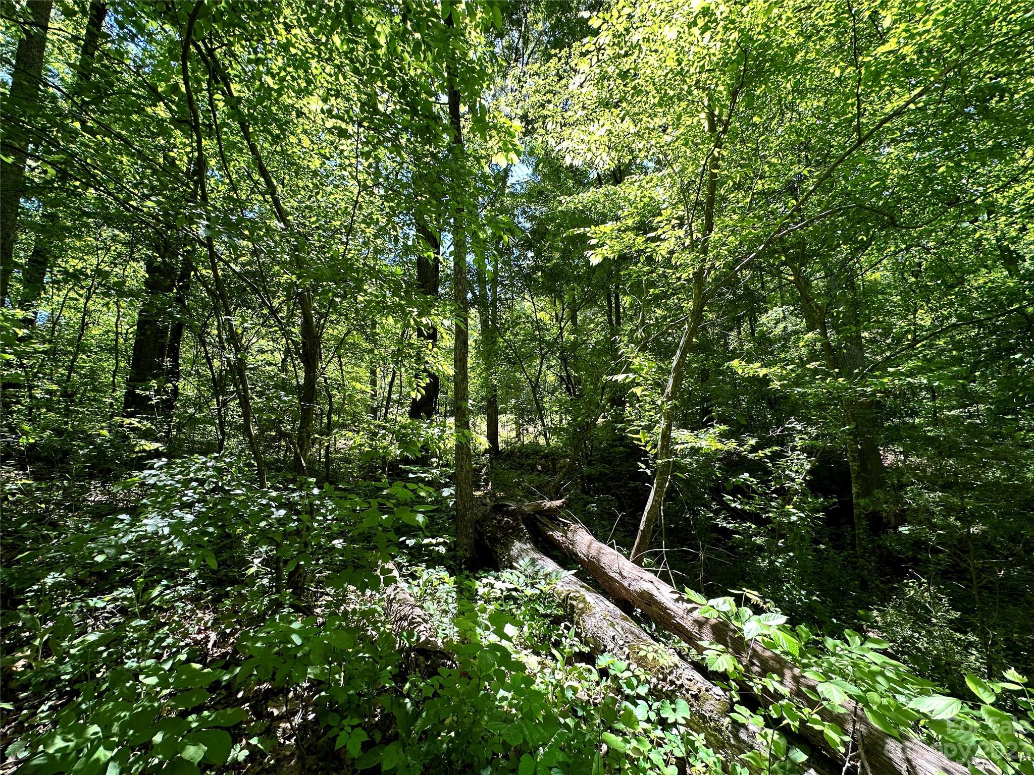 #168 Rolling Road Lincolnton NC 28092