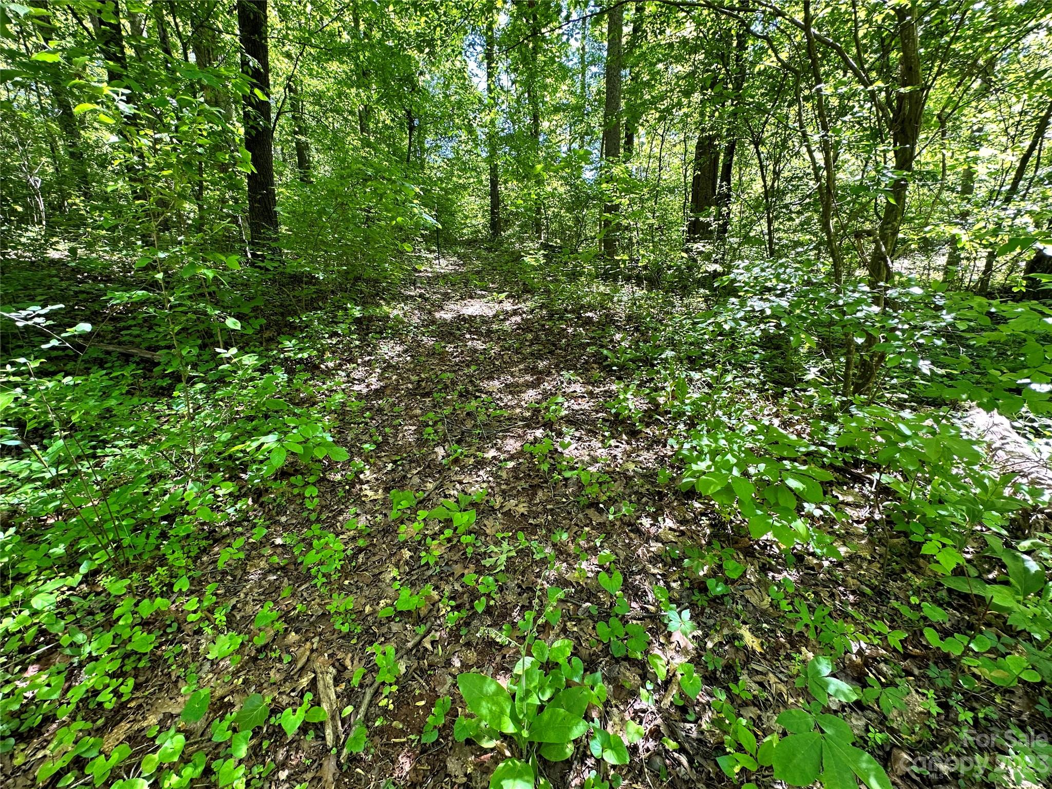 #168 Rolling Road Lincolnton NC 28092