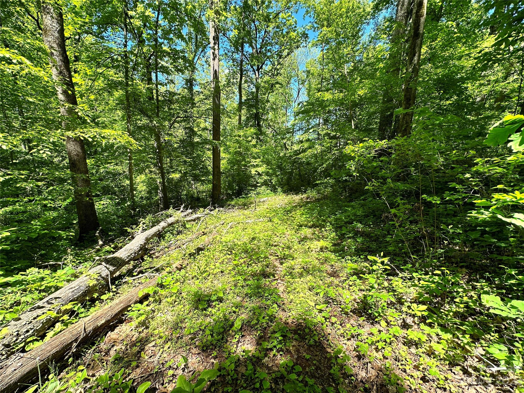 #168 Rolling Road Lincolnton NC 28092