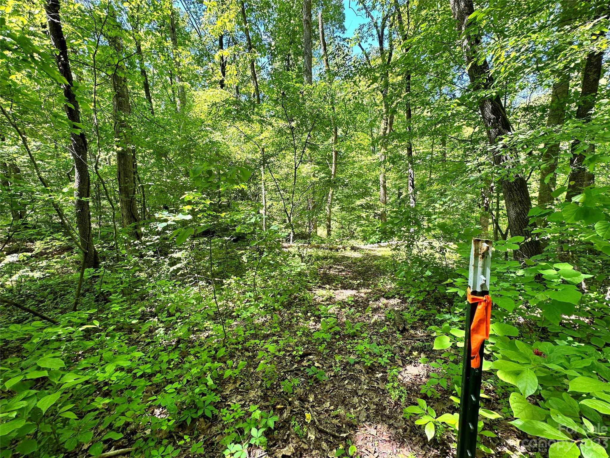 #168 Rolling Road Lincolnton NC 28092