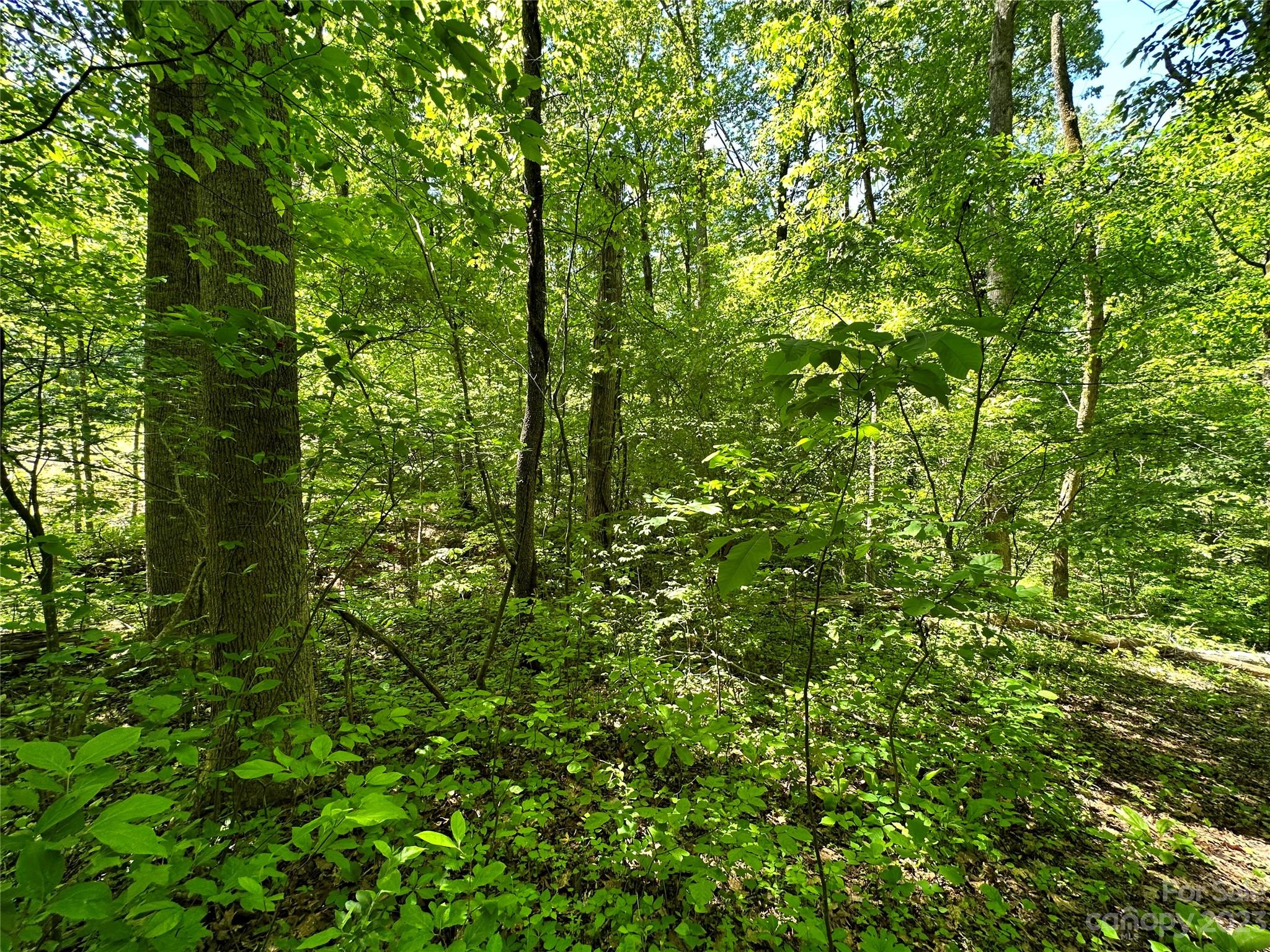 #168 Rolling Road Lincolnton NC 28092