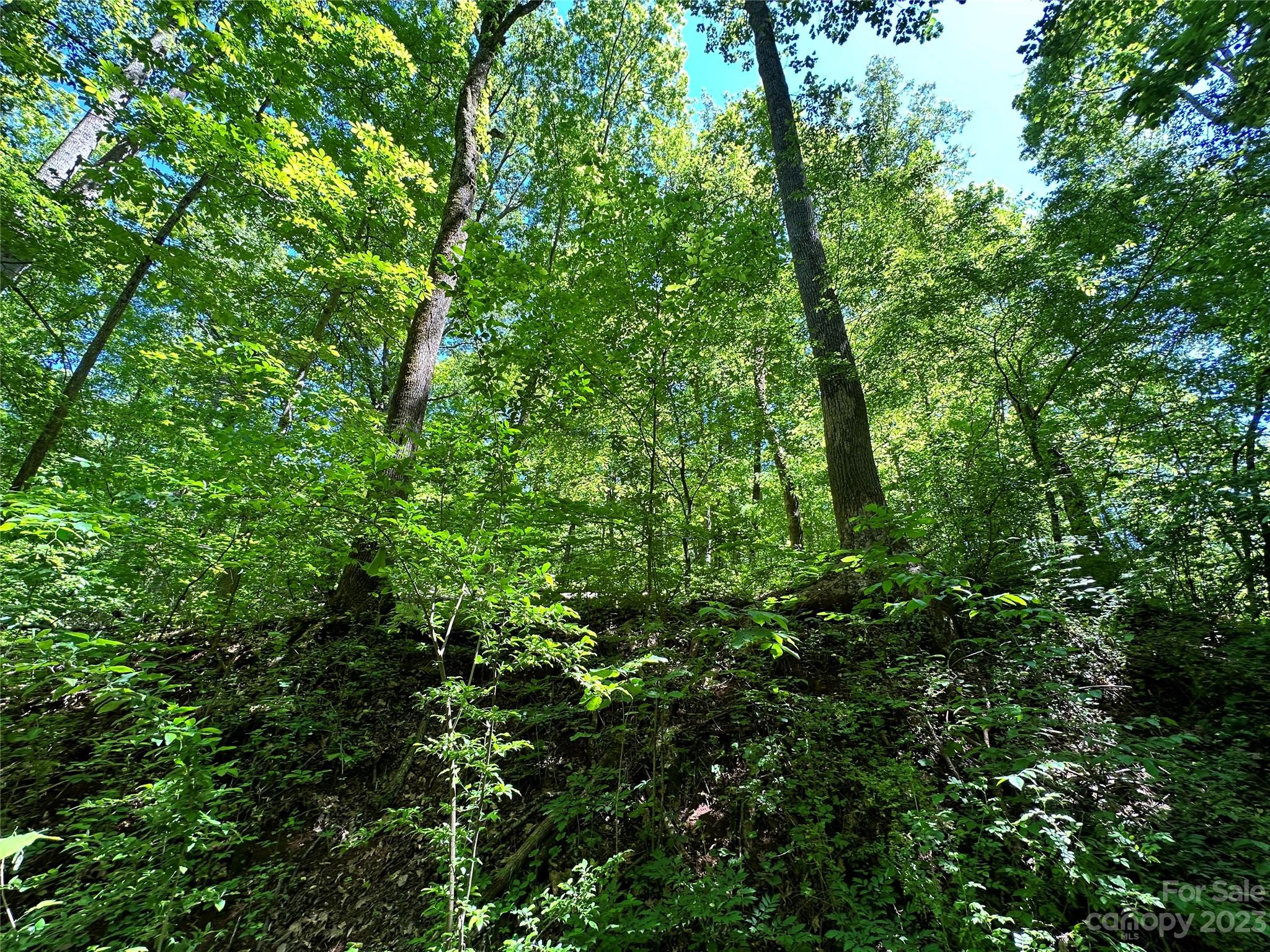 #168 Rolling Road Lincolnton NC 28092