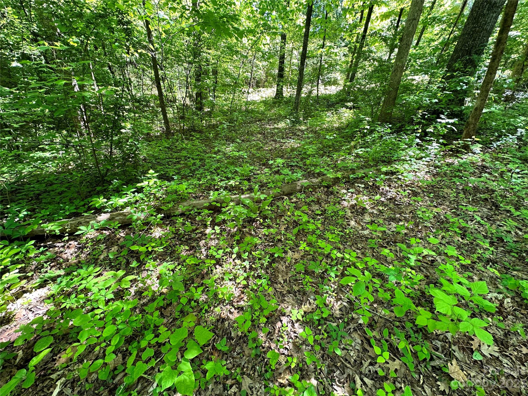 #168 Rolling Road Lincolnton NC 28092