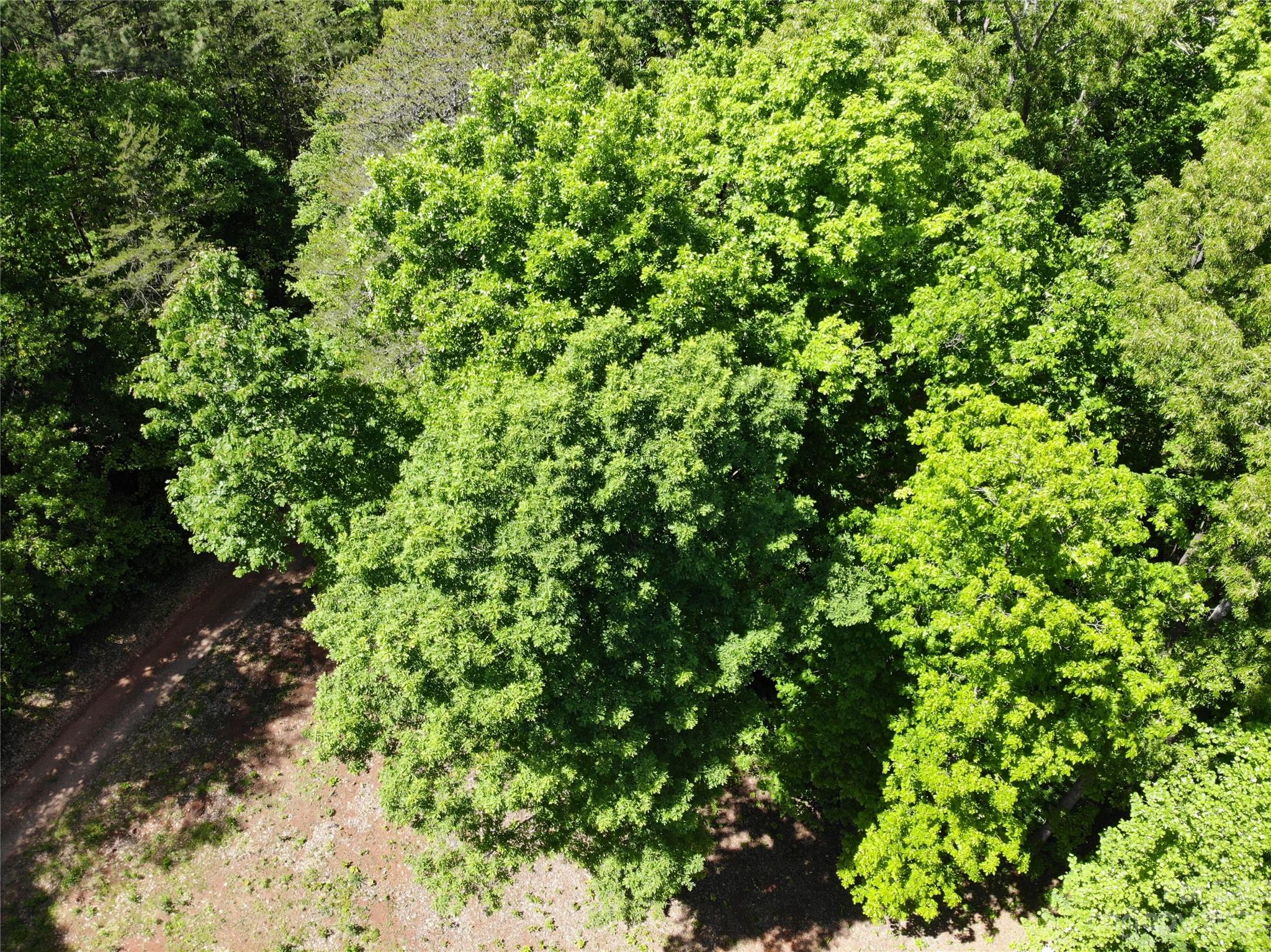 #168 Rolling Road Lincolnton NC 28092