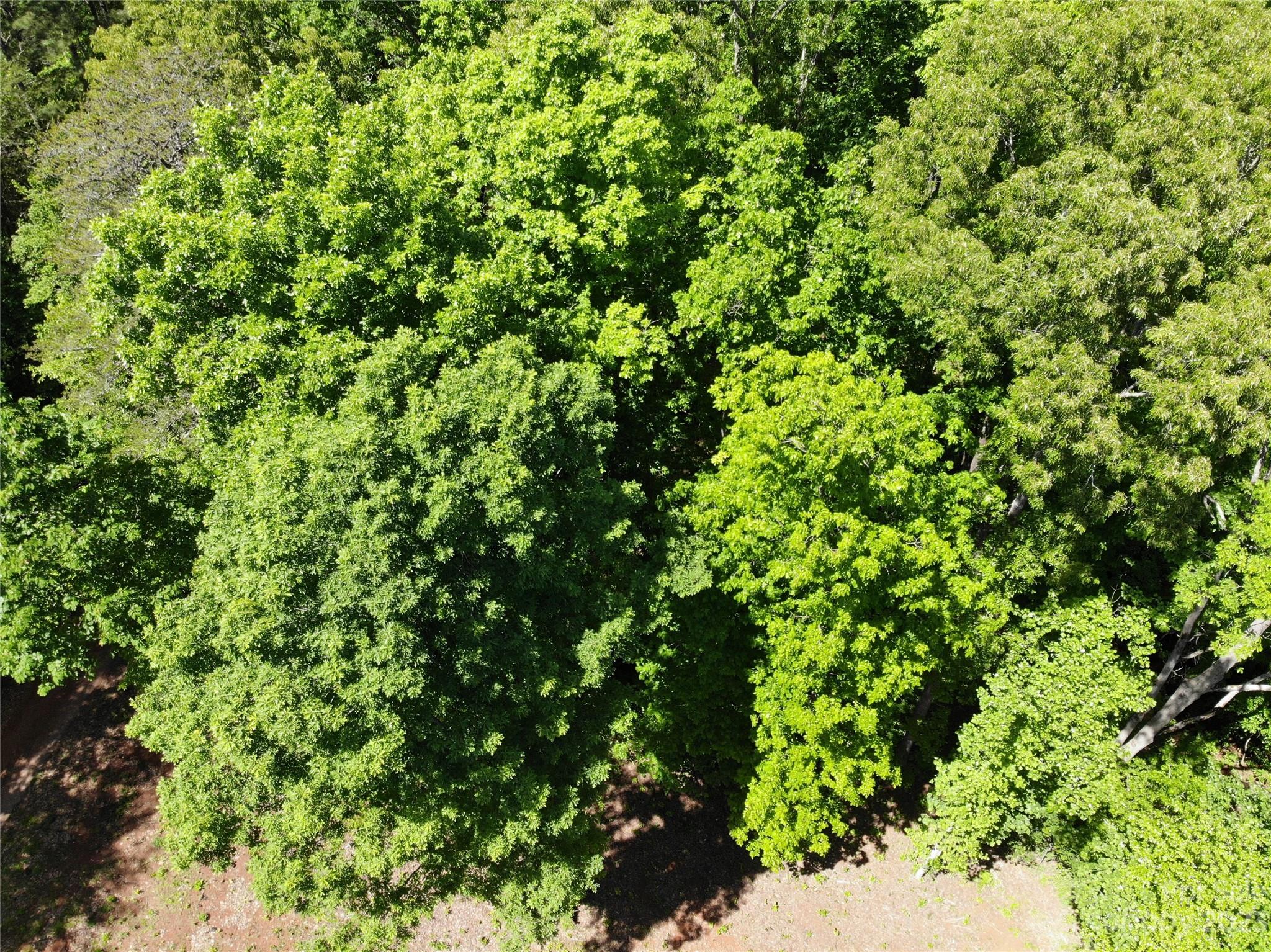 #168 Rolling Road Lincolnton NC 28092