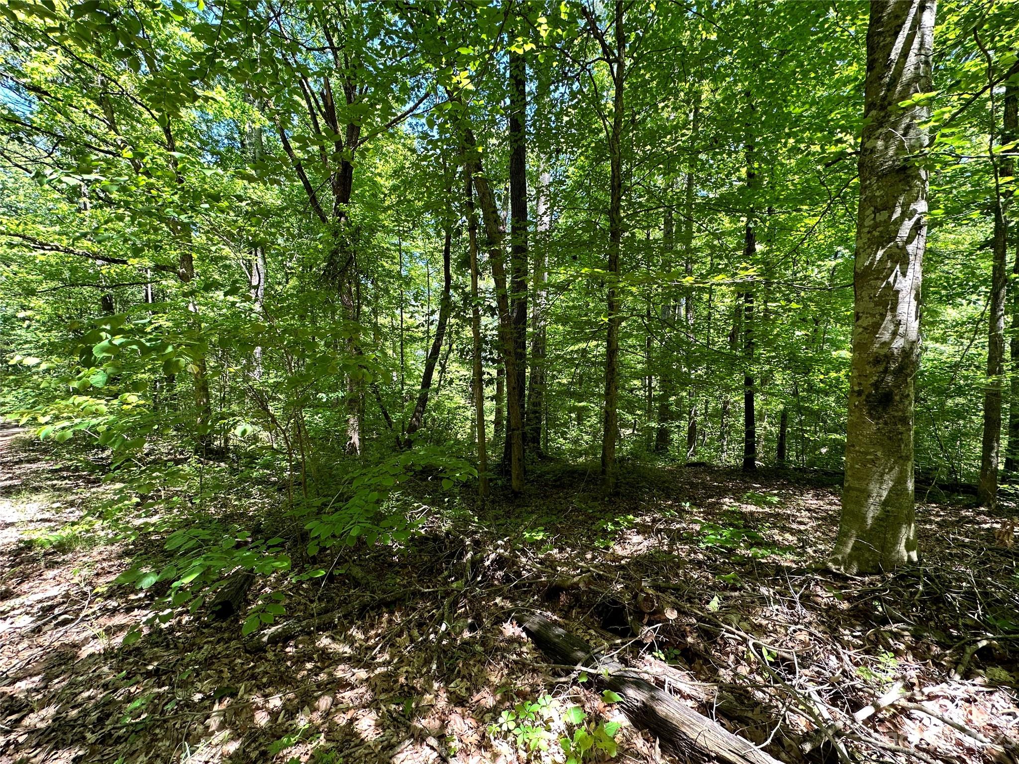 #168 Rolling Road Lincolnton NC 28092